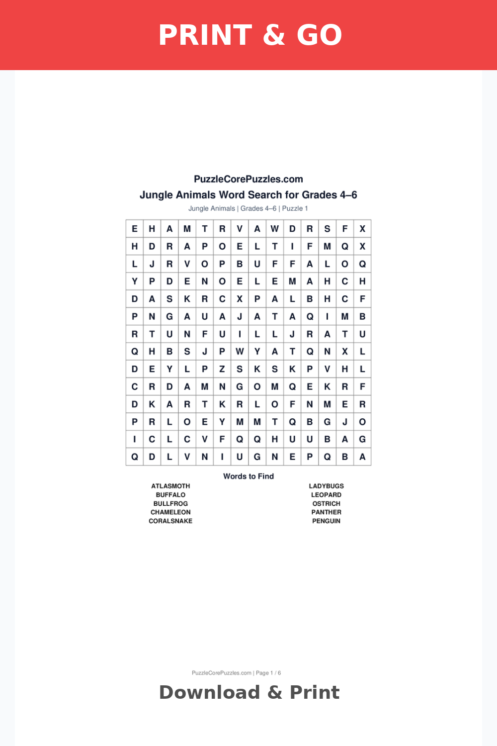 Jungle Animals Medium Word Search for Grades 4–6